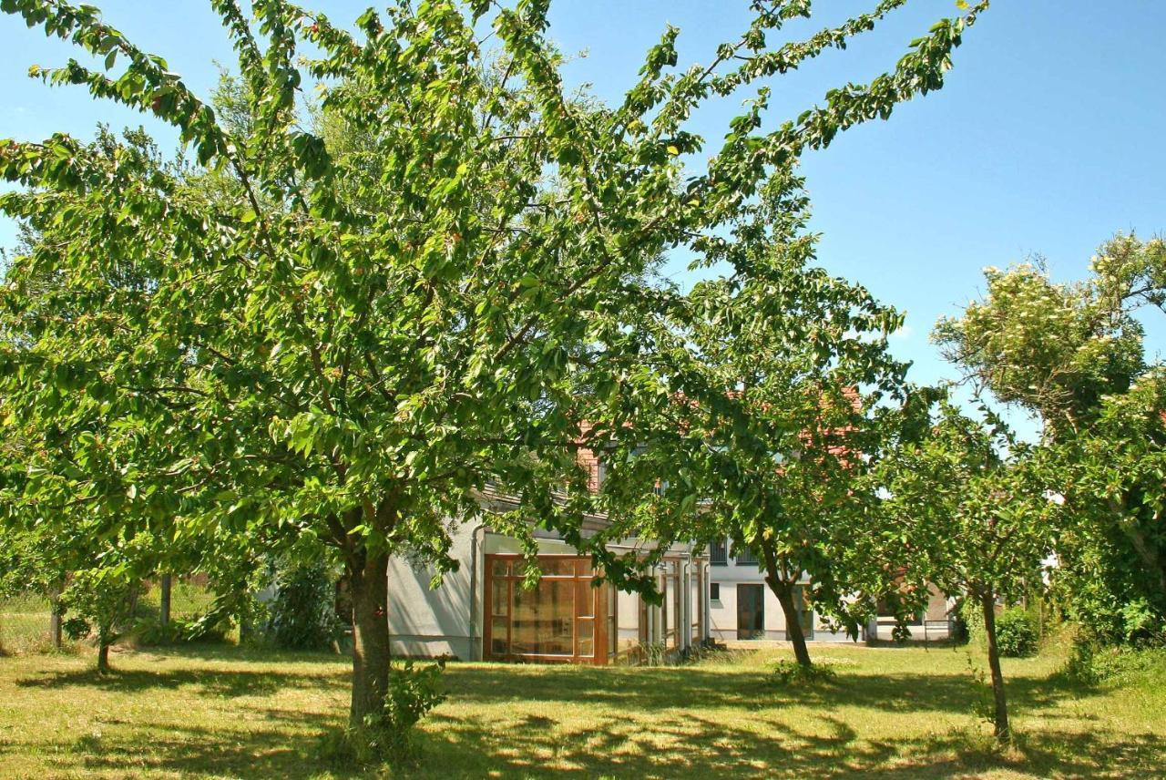 Ferienwohnungen Mirow See 10360 Екстериор снимка