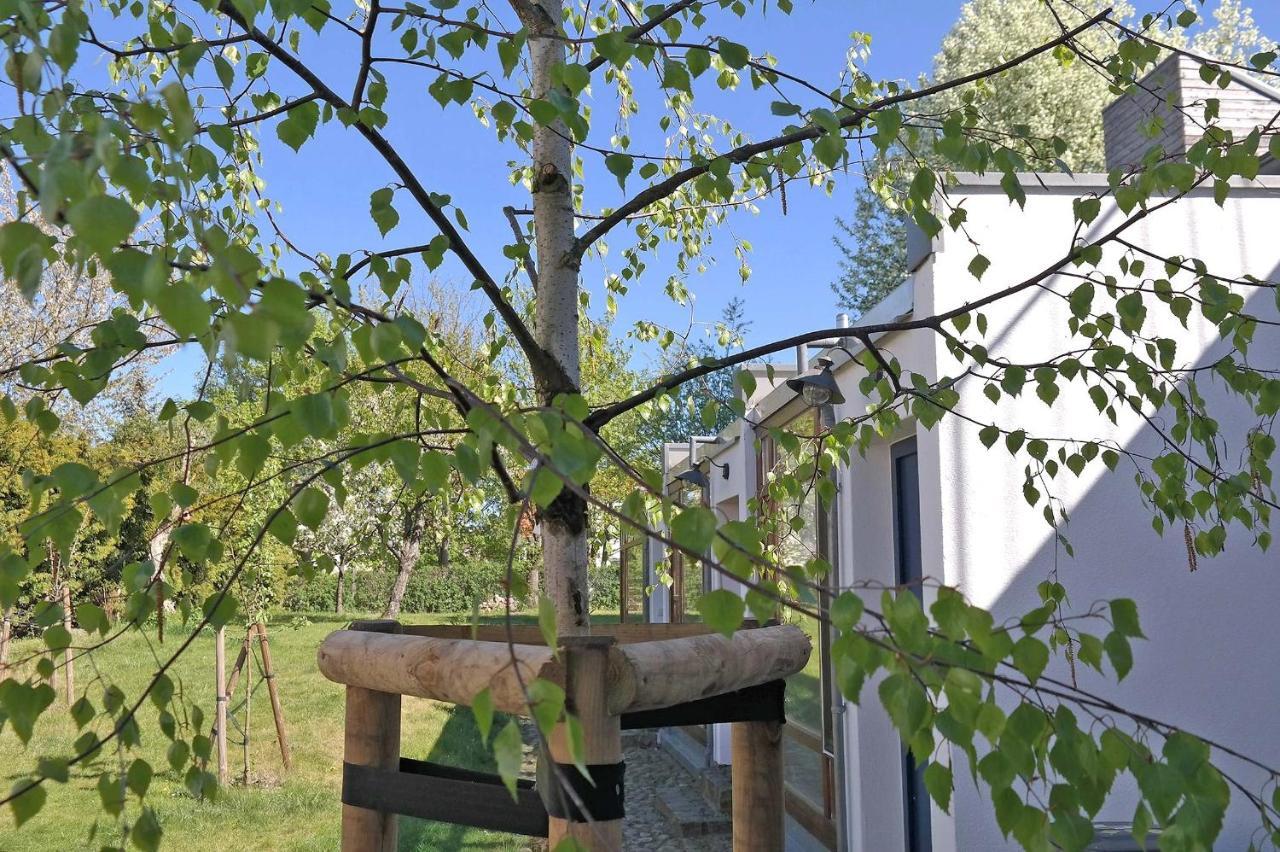 Ferienwohnungen Mirow See 10360 Екстериор снимка